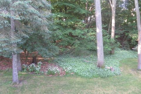 717 Warner St, Whitehall, MI 49461 photo 68