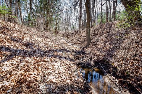 717 Warner St, Whitehall, MI 49461 photo 64
