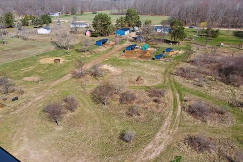 11390 E Pakes Rd, Crystal, MI 48818 photo 23
