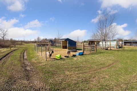 11390 E Pakes Rd, Crystal, MI 48818 photo 19