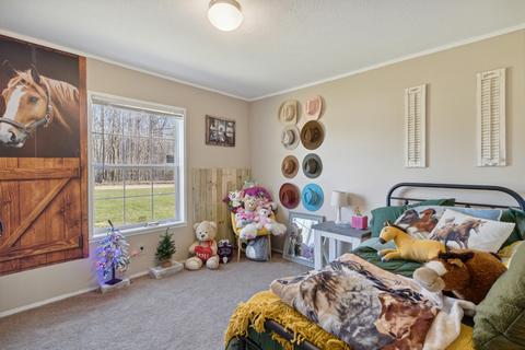 11390 E Pakes Rd, Crystal, MI 48818 photo 10