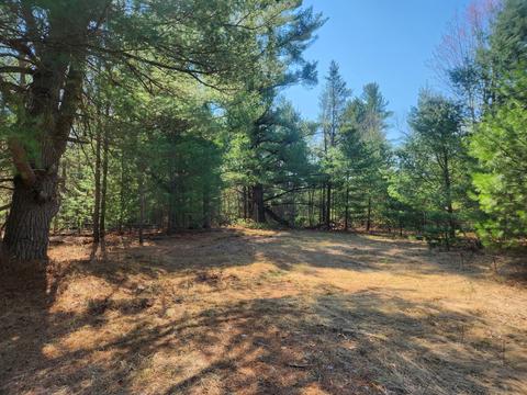 Vl Merrillville, Luther, MI 49656