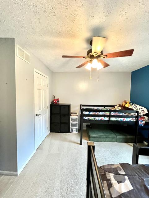 80038 Stapleton Rd, Decatur, MI 49045 photo 35
