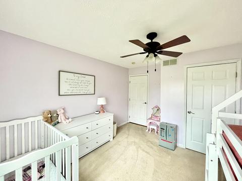 80038 Stapleton Rd, Decatur, MI 49045 photo 33
