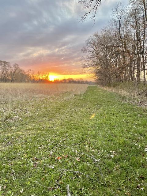 80038 Stapleton Rd, Decatur, MI 49045 photo 50
