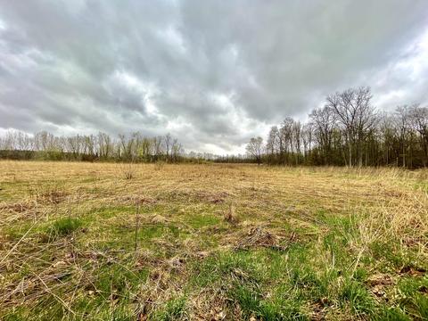 80038 Stapleton Rd, Decatur, MI 49045 photo 51