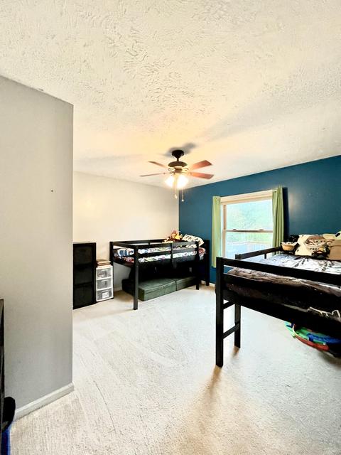 80038 Stapleton Rd, Decatur, MI 49045 photo 34