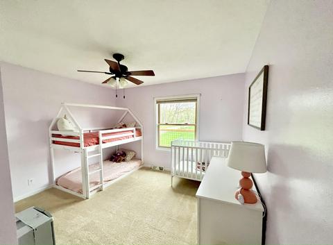 80038 Stapleton Rd, Decatur, MI 49045 photo 32