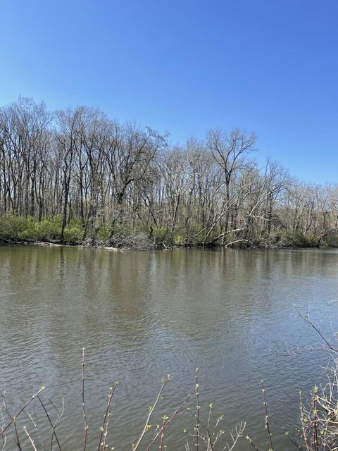 Bachelor Island, Buchanan, MI 49107