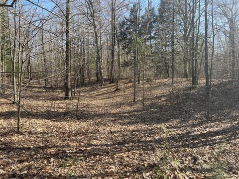 1 03 Acre Minch Ave, Mears, MI 49436