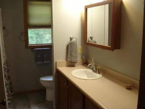 4156 Ida Blvd, Jackson, MI 49201 photo 52