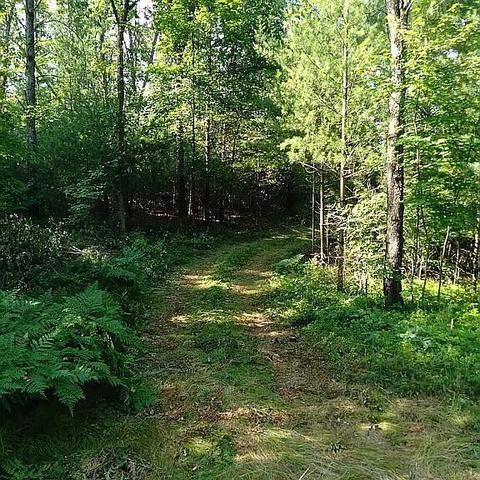 Vl Baseline, White Cloud, MI 49349 photo 3