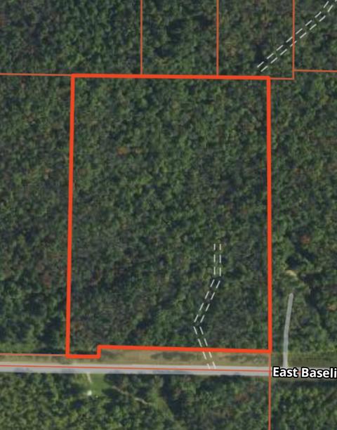 Vl Baseline, White Cloud, MI 49349 photo 10