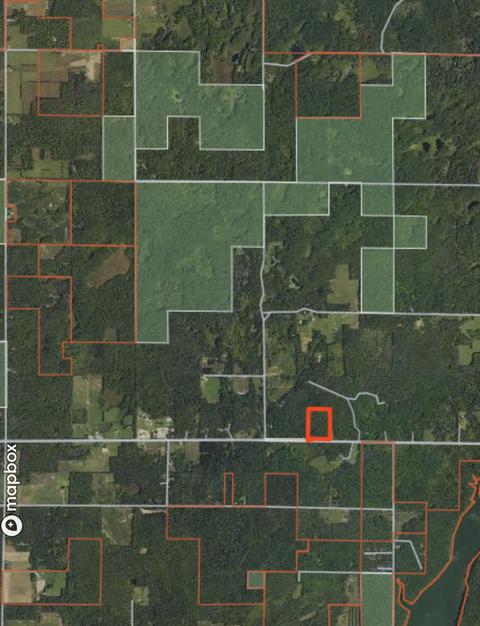 Vl Baseline, White Cloud, MI 49349 photo 12