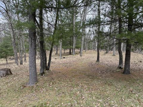 7360 W Wingleton Rd, Baldwin, MI 49304 photo 13