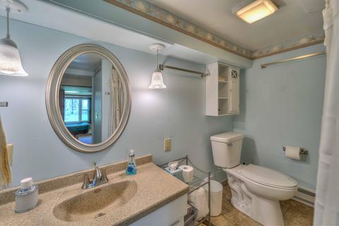 3405 Pine Ridge Dr, Jackson, MI 49201 photo 22