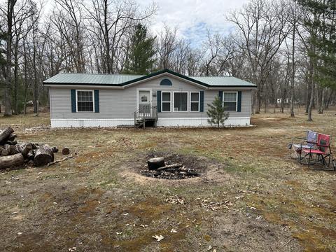 11741 S Box Elder Ave, Baldwin, MI 49304