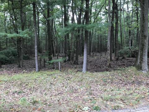 Timber Ridge Drive, Manistee, MI 49660