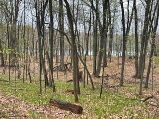 7841 Marsh Rd, Plainwell, MI 49080 photo 26
