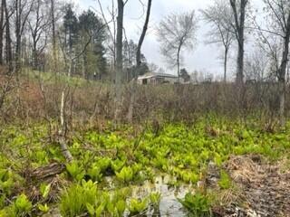 7841 Marsh Rd, Plainwell, MI 49080 photo 30