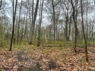 7841 Marsh Rd, Plainwell, MI 49080 photo 29
