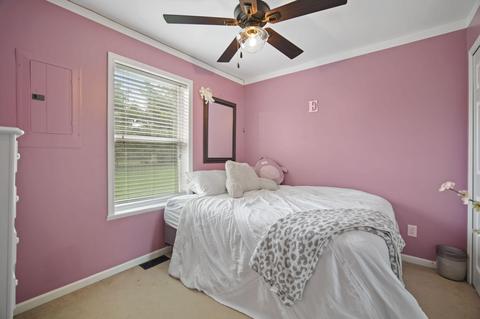 101 Springmill Dr, Jerome, MI 49249 photo 15
