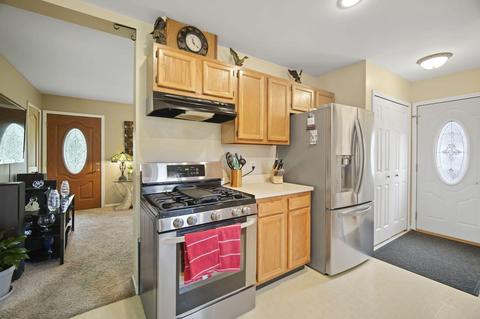 101 Springmill Dr, Jerome, MI 49249 photo 11