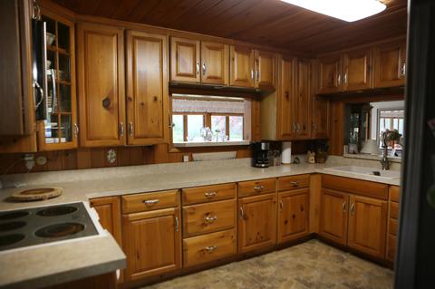 1209 Sumac Dr, Stanton, MI 48888 photo 18