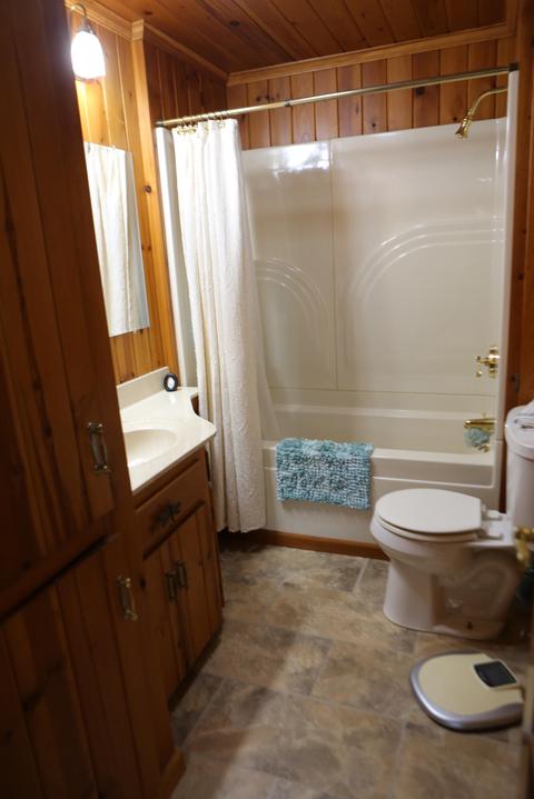 1209 Sumac Dr, Stanton, MI 48888 photo 28