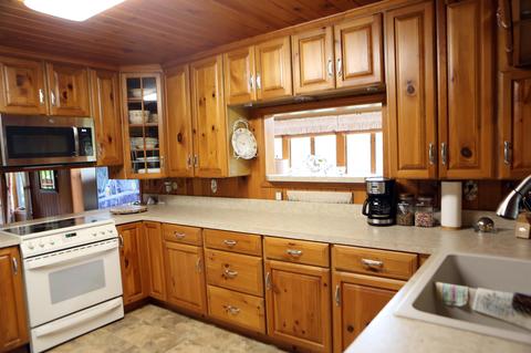 1209 Sumac Dr, Stanton, MI 48888 photo 19