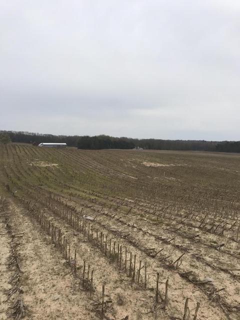 Lot 4 Potters Road, Ionia, MI 48846