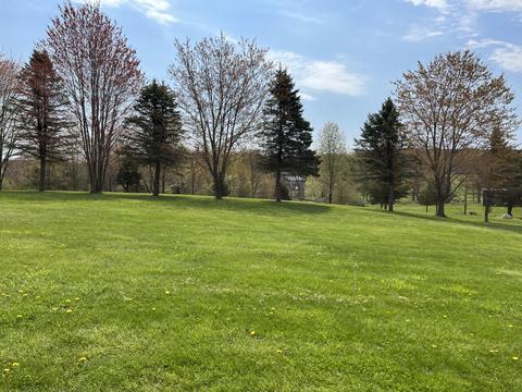 7698 Parsonage Rd, Saranac, MI 48881 photo 6