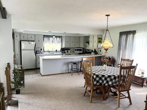 7698 Parsonage Rd, Saranac, MI 48881 photo 9