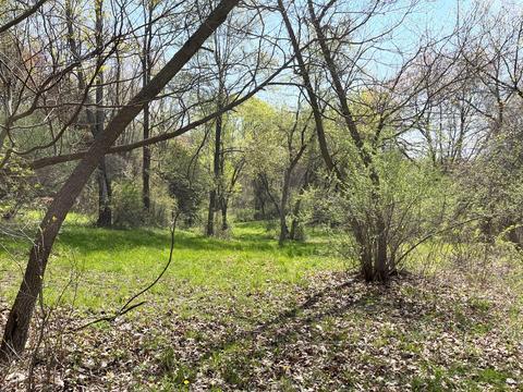 7698 Parsonage Rd, Saranac, MI 48881 photo 7