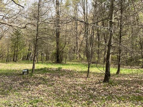 7698 Parsonage Rd, Saranac, MI 48881 photo 5