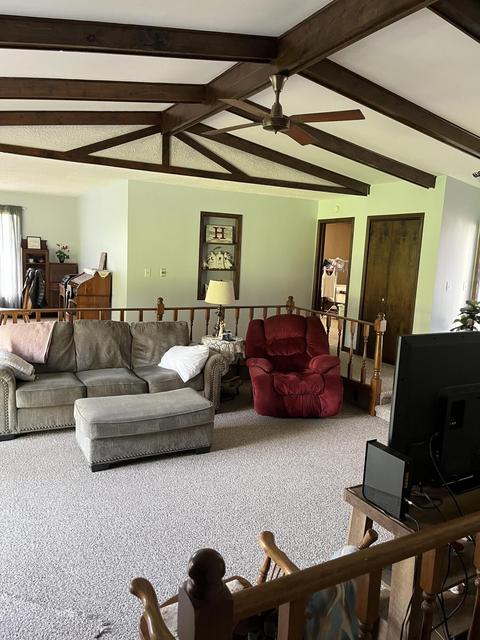 7698 Parsonage Rd, Saranac, MI 48881 photo 18