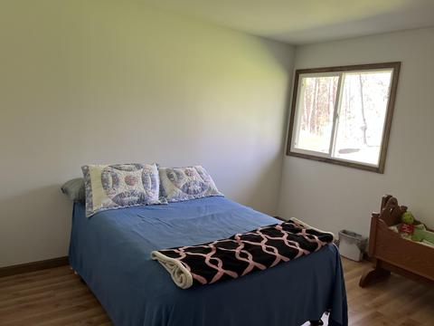 7698 Parsonage Rd, Saranac, MI 48881 photo 22