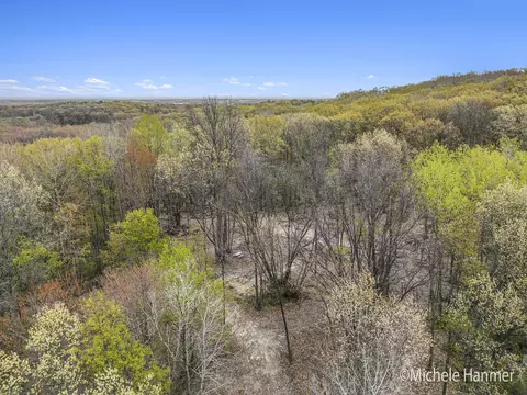 Parcel 3 Glenn Clay Court, Freeport, MI 49325