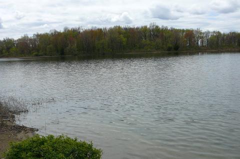 1050 Siler Dr, Bronson, MI 49028 photo 51