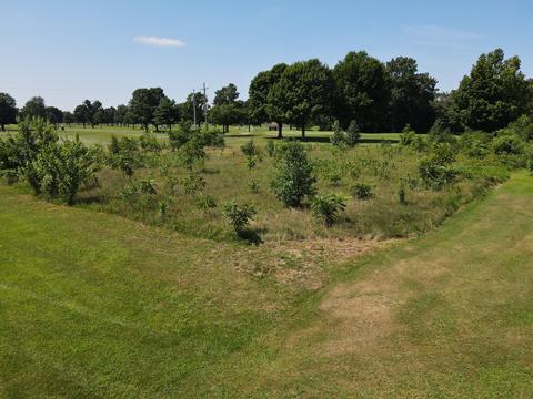 Vl Woodland Drive, Dowagiac, MI 49047