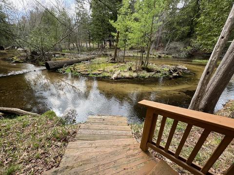 4619 N Able Rd, Irons, MI 49644 photo 13