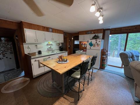 4619 N Able Rd, Irons, MI 49644 photo 34