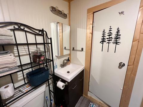 4619 N Able Rd, Irons, MI 49644 photo 43