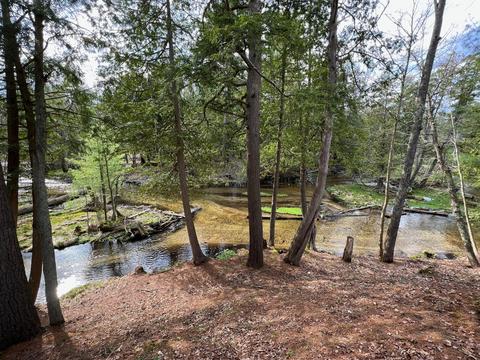 4619 N Able Rd, Irons, MI 49644 photo 16