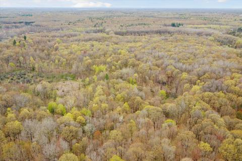 3550 E Stanton Rd, Stanton, MI 48888 photo 55