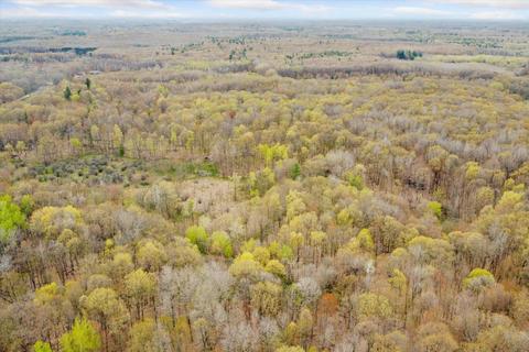 3550 E Stanton Rd, Stanton, MI 48888 photo 54