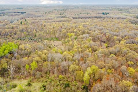 3550 E Stanton Rd, Stanton, MI 48888 photo 53