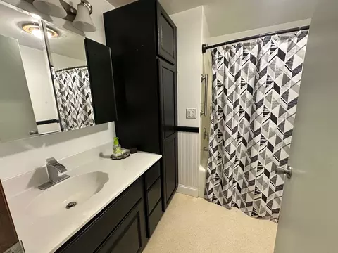 301 Lakeside Dr, Jackson, MI 49203 photo 17