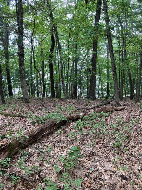 V/l Wintergreen Drive Lot 48, Allegan, MI 49010