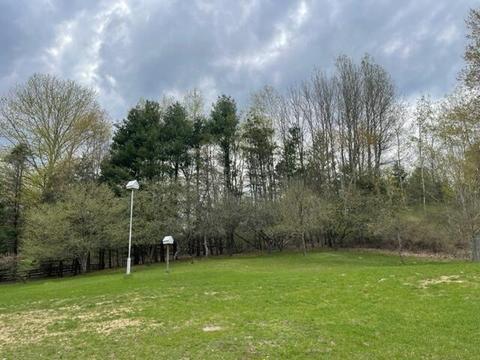 8917 E 64th St, Chase, MI 49623 photo 5
